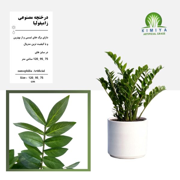 درختچه زاموفیلیا مصنوعی