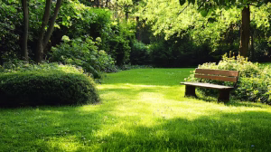 چمن مصنوعی تزئینی در شیراز