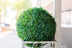 راهنمای خرید درختچه مصنوعی